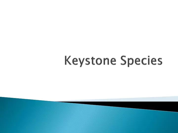 PPT Keystone Species PowerPoint Presentation Free Download ID 2664272