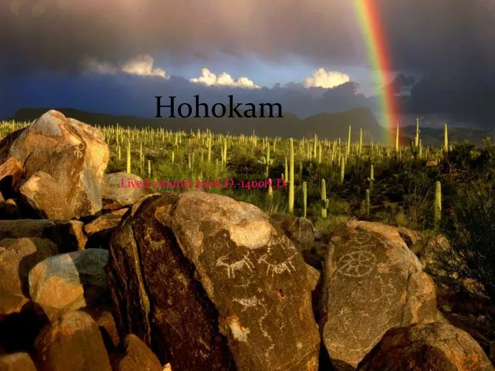 where did the hohokam lived