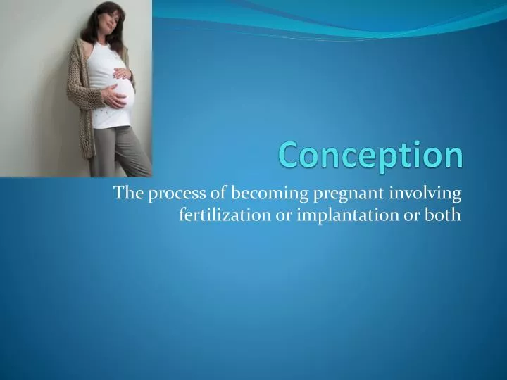 PPT - Conception PowerPoint Presentation, free download - ID:2666311