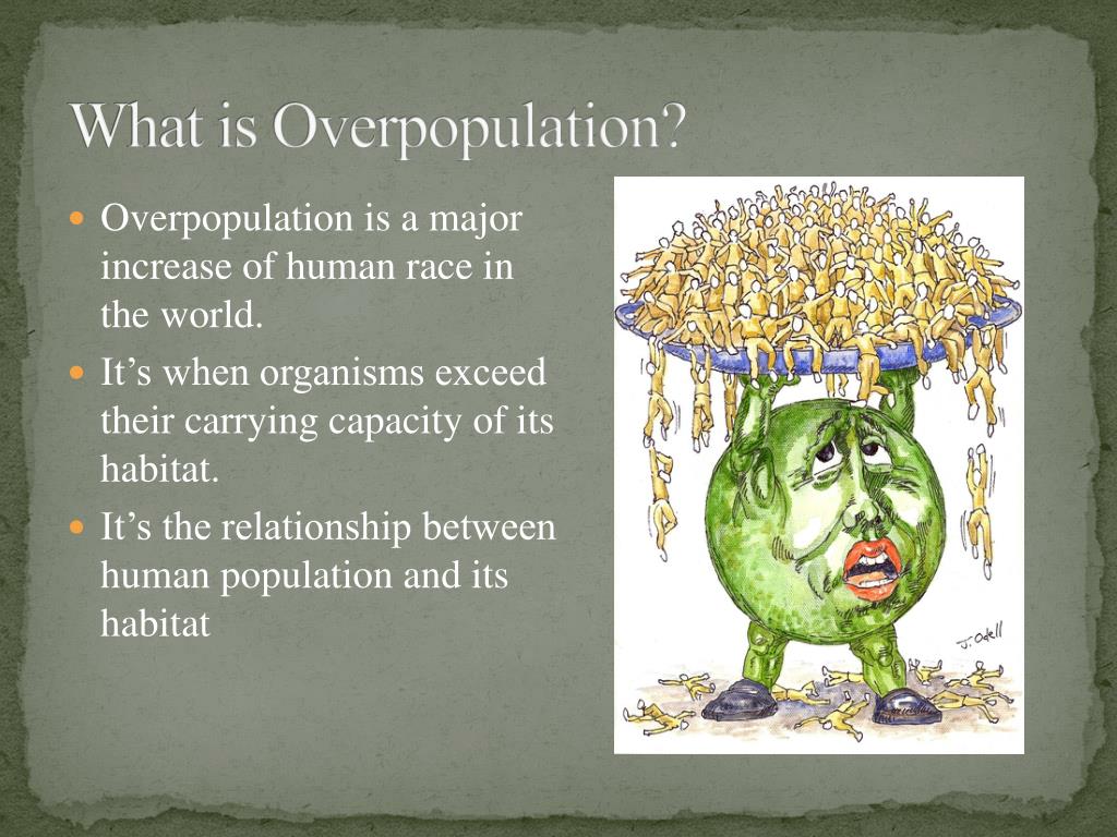 presentation on overpopulation