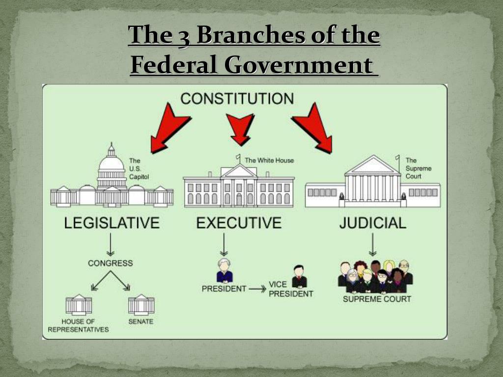 powerpoint presentation on 3 branches of government