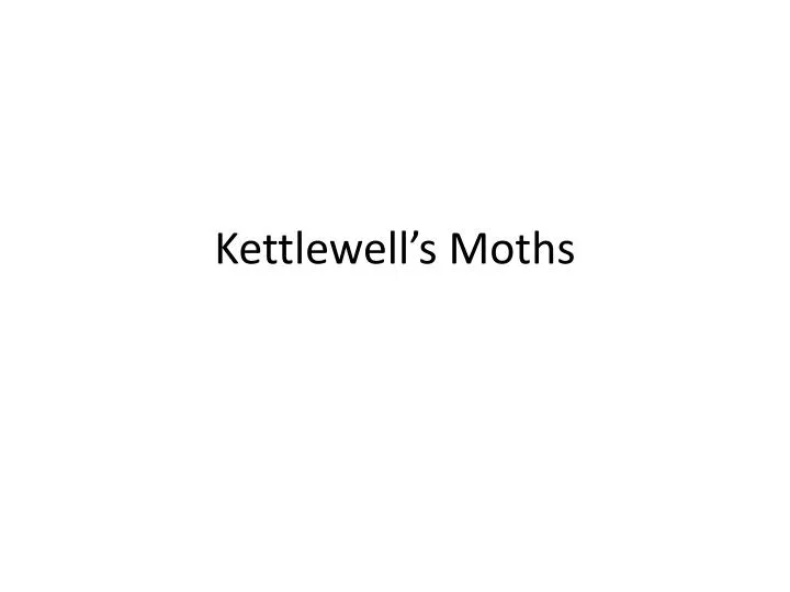 kettlewell s moths n.