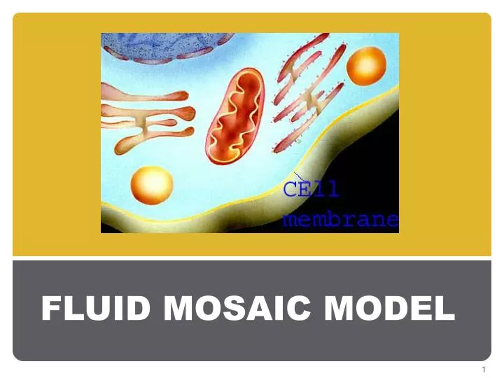download fluid mosaic model for free download fluid mosaic model for free