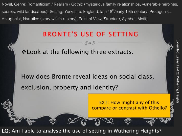 Wuthering heights point of view essay