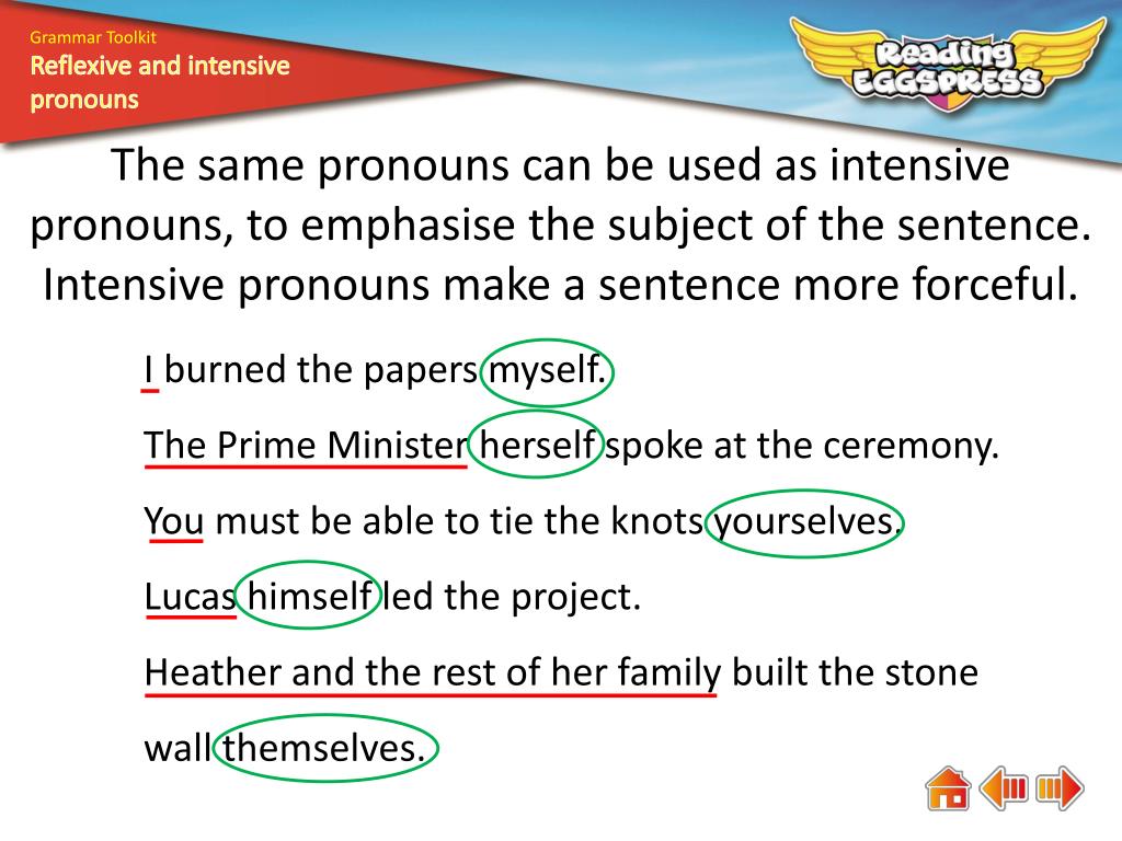 Reflexive And Intensive Pronouns Worksheet With Answers