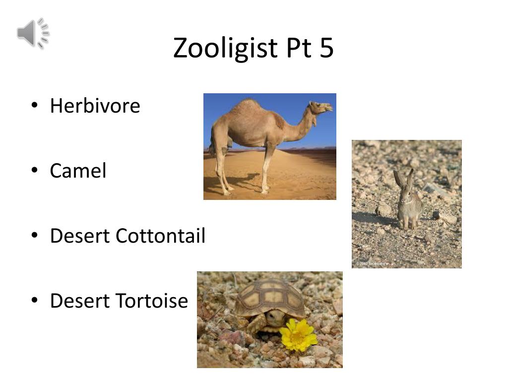 PPT - The Desert PowerPoint Presentation, free download - ID:2672574