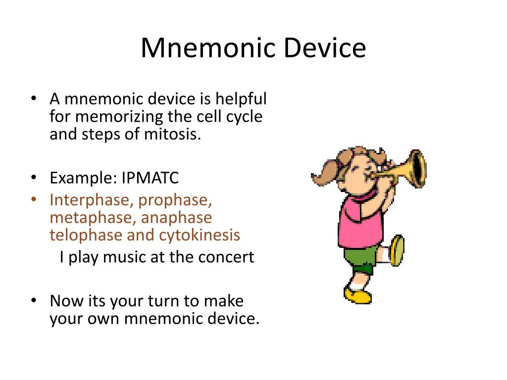 PPT Topic 78 and 79 Class Notes Cell Cycle PowerPoint