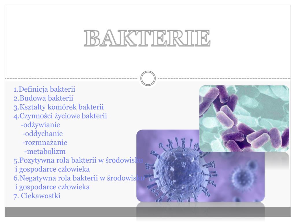 Wirusy I Bakterie Prezentacja Dla Dzieci PPT - BAKTERIE PowerPoint Presentation, free download - ID:2675984