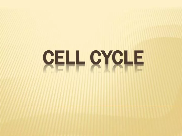 Cell Cycle PowerPoint Presentation, free download Biology Diagrams