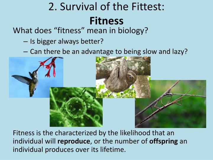 PPT What s Graphene And Why Is Its Development Worth A Nobel Prize ppt-what-s-graphene-and-why-is-its-development-worth-a-nobel-prize