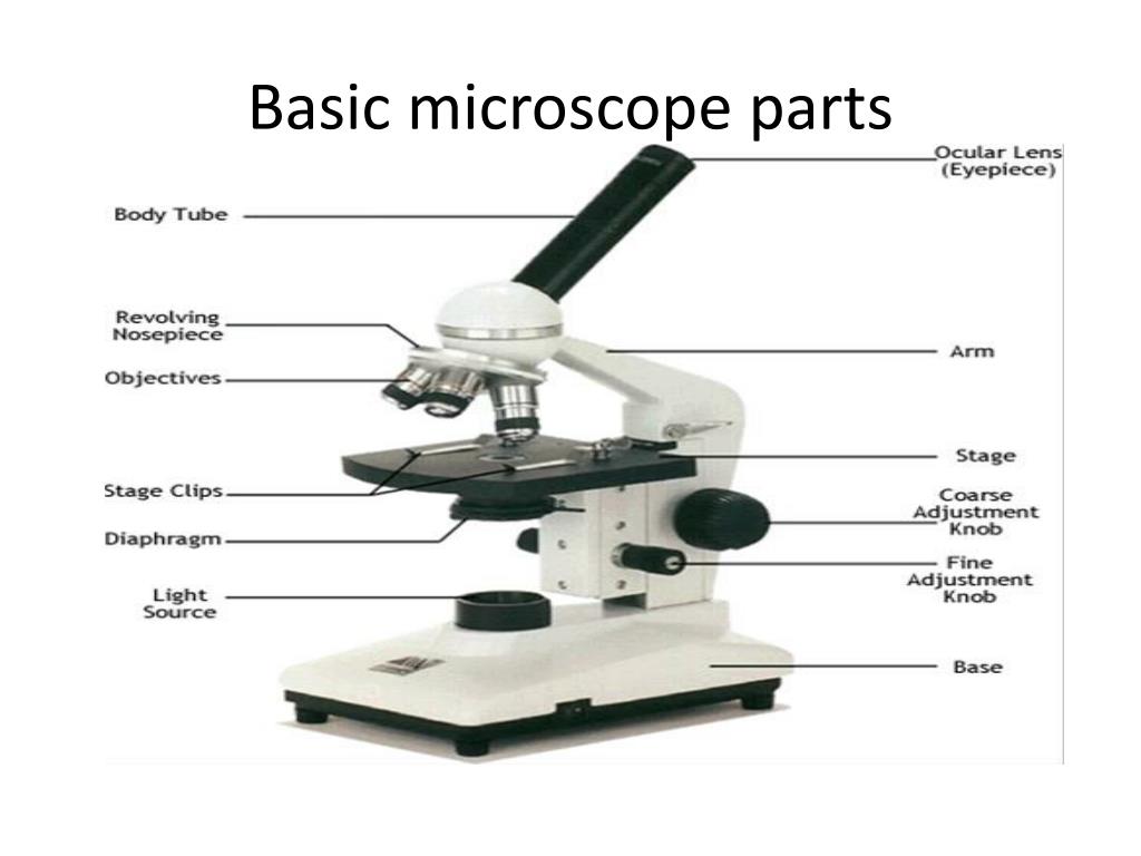 minitube microscope parts