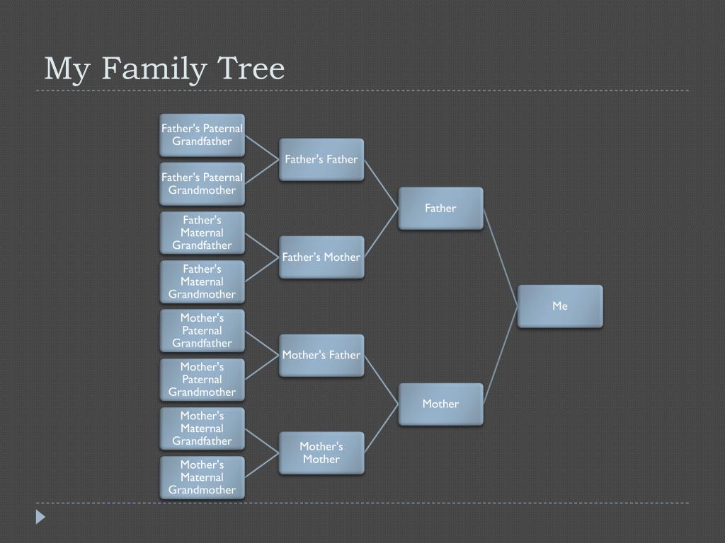 PPT - My Family Tree PowerPoint Presentation, free download - ID:2680260