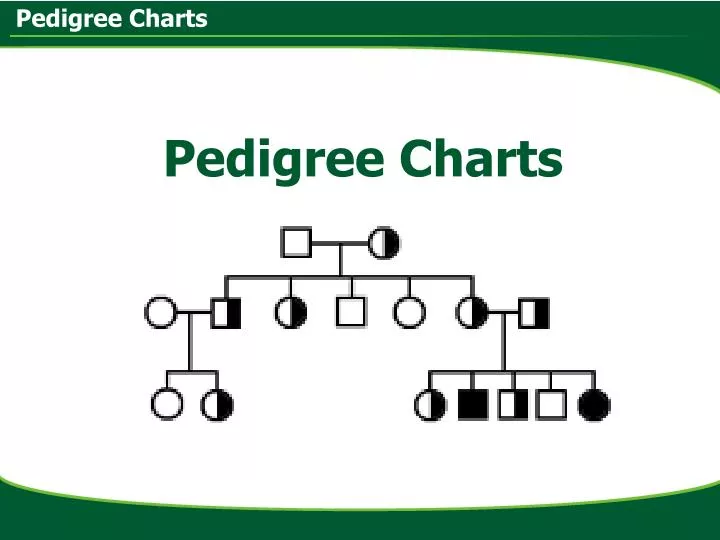 Pedigree Chart Maker Free Download
