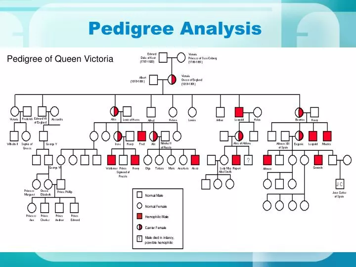 How To Make And Analyze A Pedigree Chart