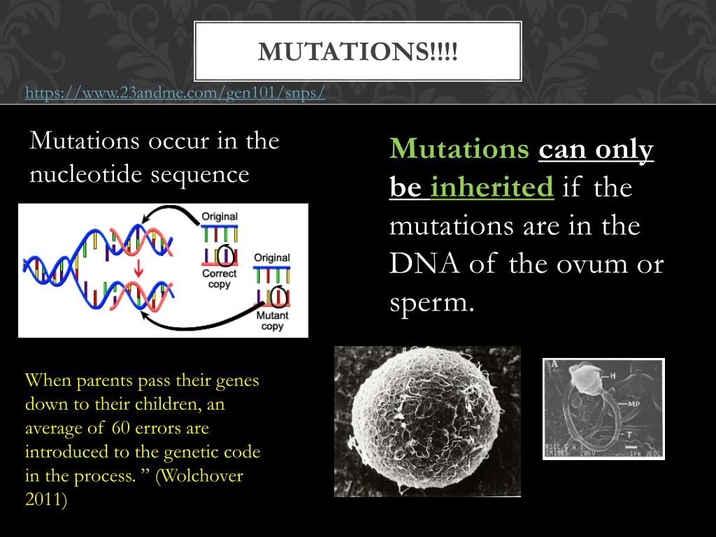 Objective 5: Inheritance and mutations PowerPoint Presentation ... Biology Diagrams