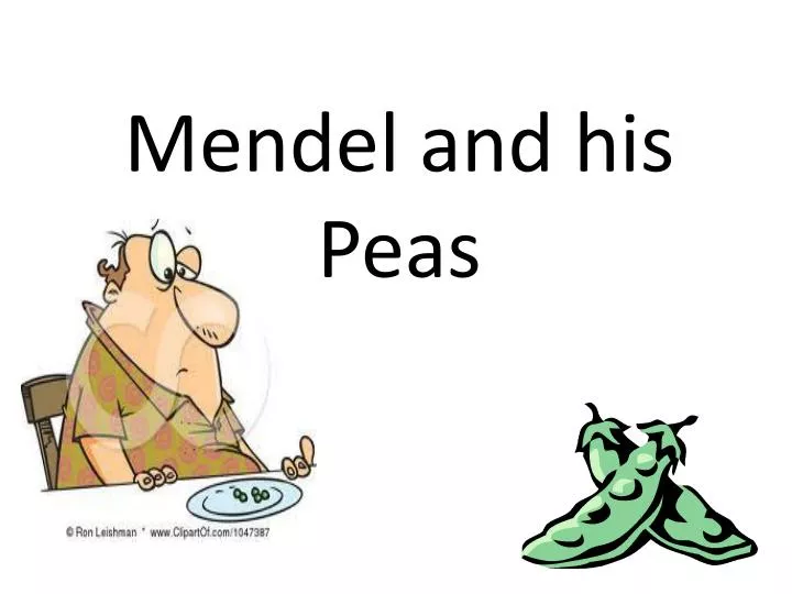 ppt-mendel-and-his-peas-powerpoint-presentation-free-download-id-2681547