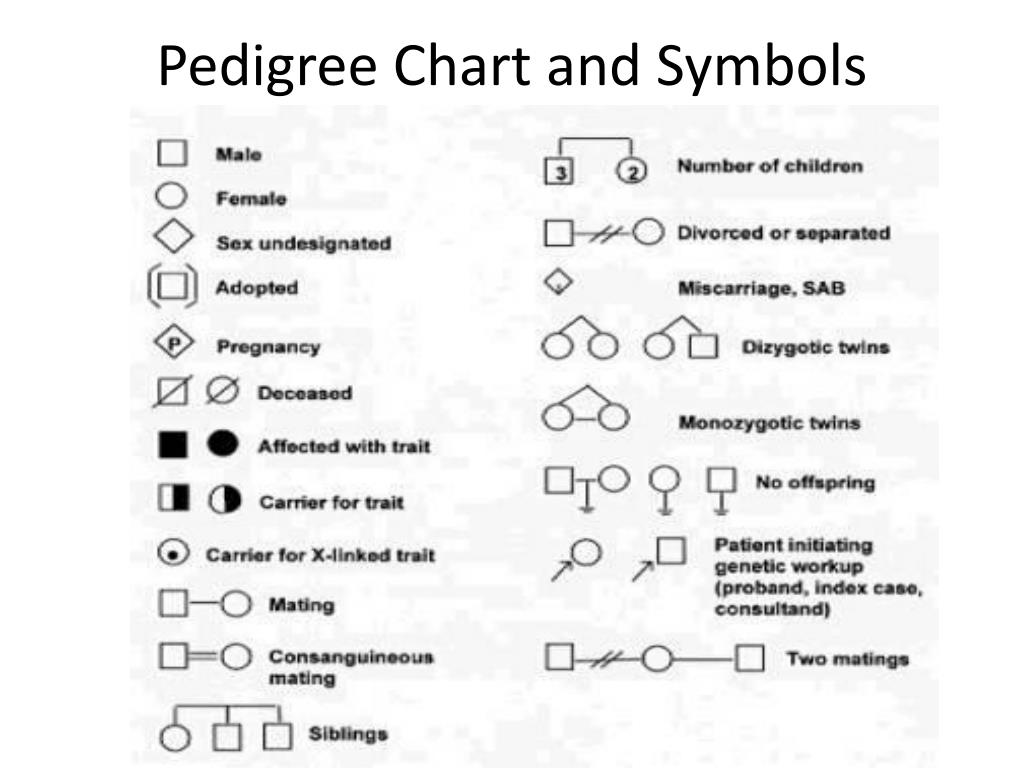 Pedigree Chart Key
