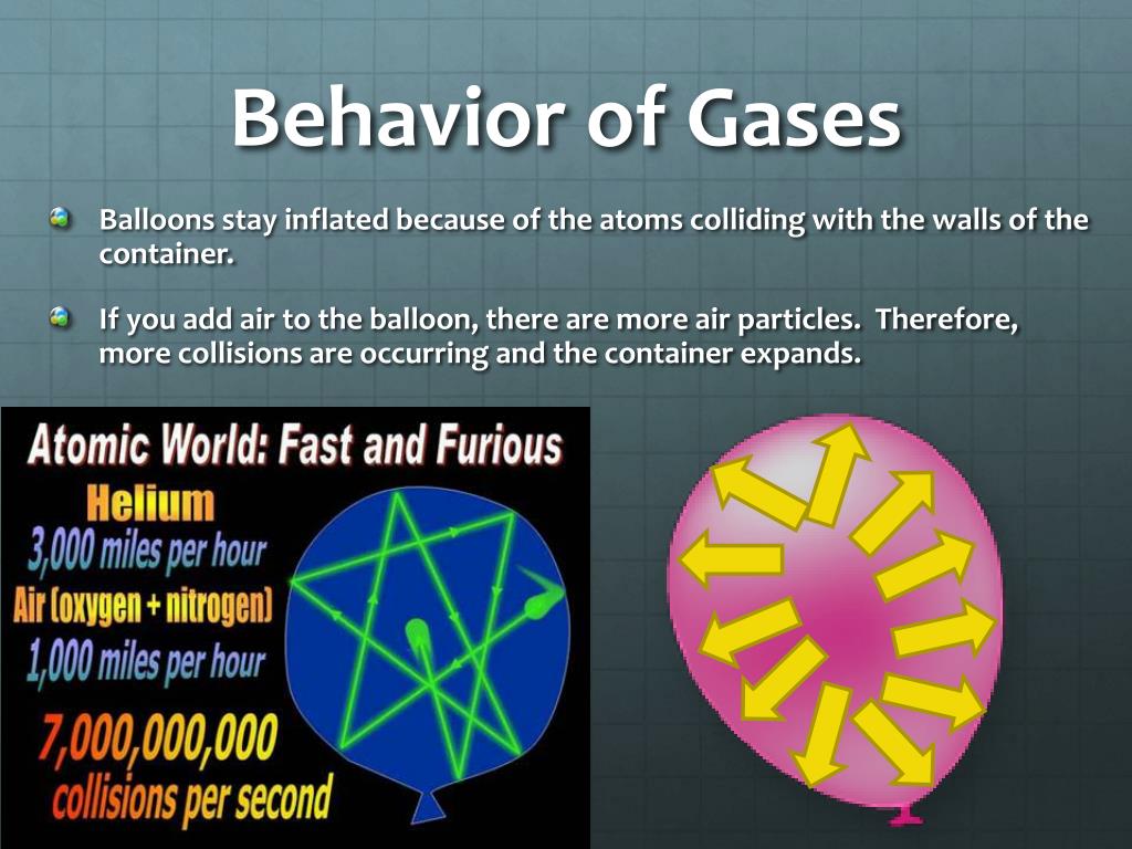 Behavior Of Gases Worksheet
