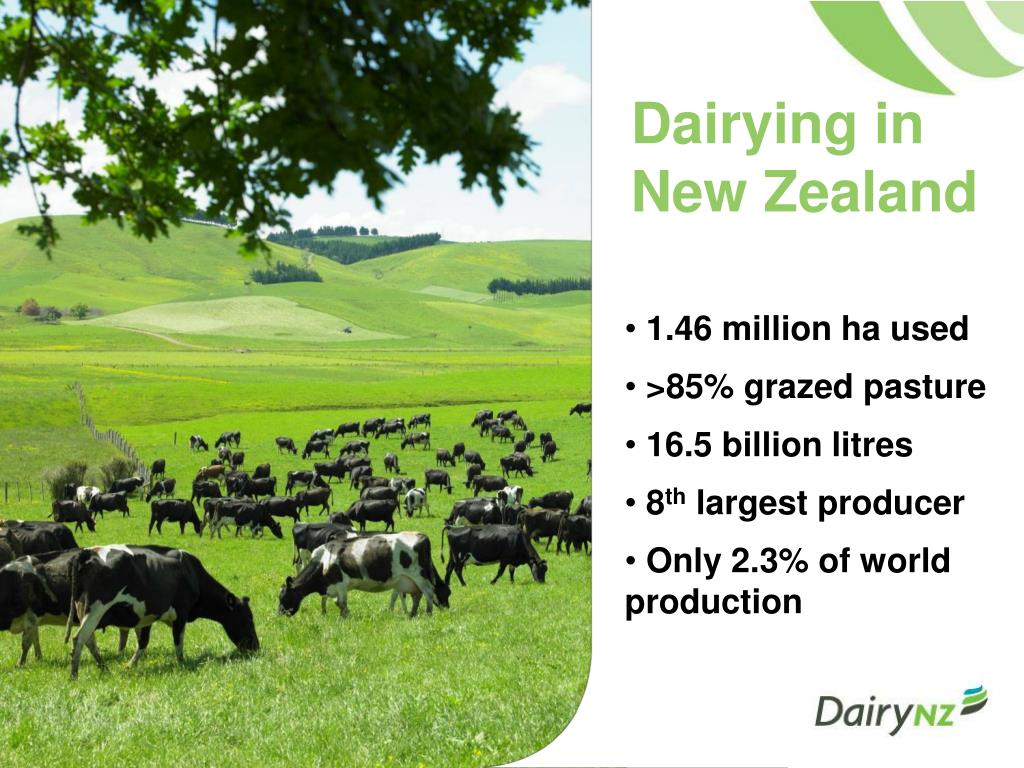 PPT - New Zealand’s dairy industry PowerPoint Presentation, free ...
