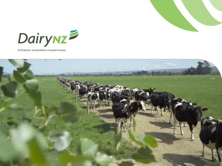 PPT New Zealand’s dairy industry PowerPoint Presentation, free