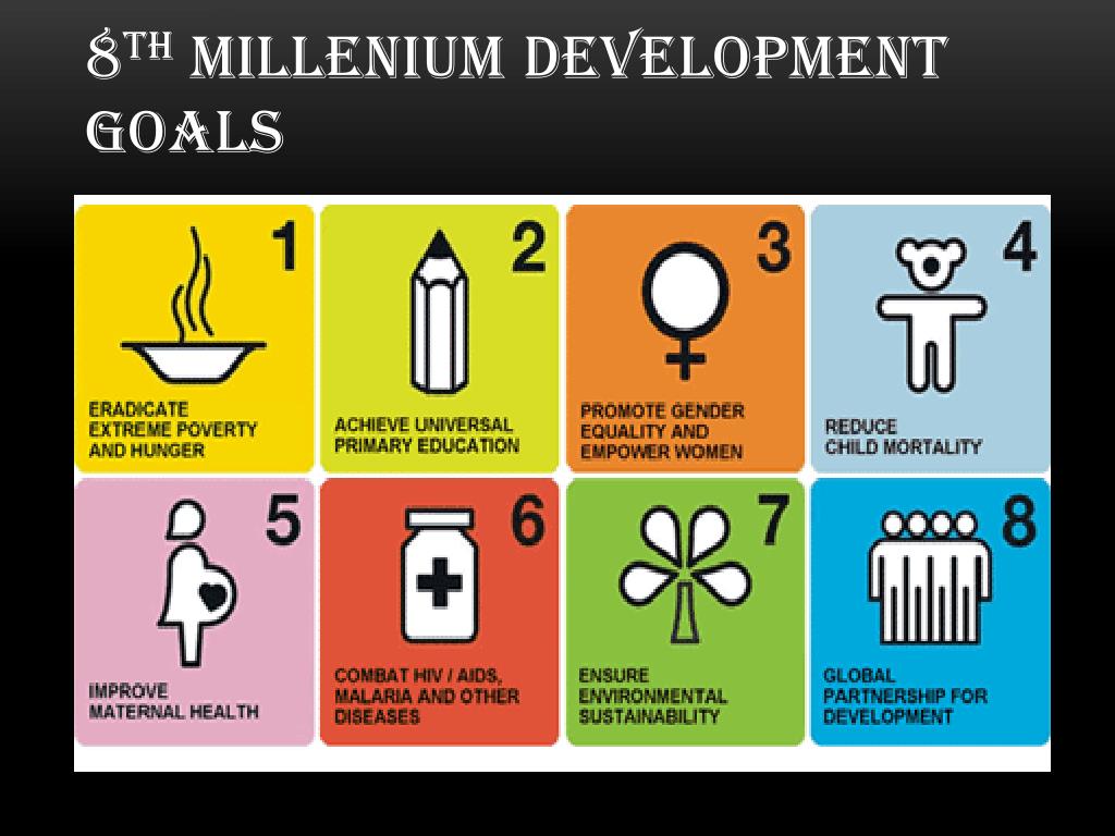 essay about 8 millennium development goals