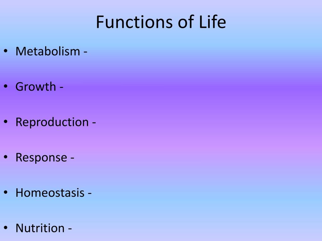 PPT Ch. 2 CELLS PowerPoint Presentation, free download ID2684241