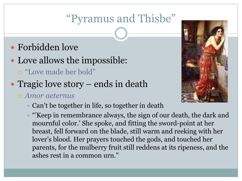 PPT - Intellegere et Diligere Litteras : “To understand and to love ...