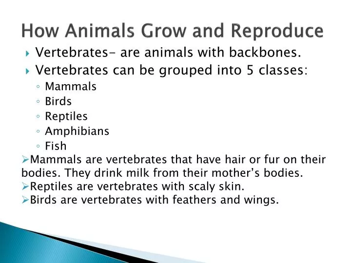 PPT - How Animals Grow and Reproduce PowerPoint Presentation, free download - ID:2686265 PPT - How Animals Grow and Reproduce PowerPoint Presentation, free download - ID:2686265