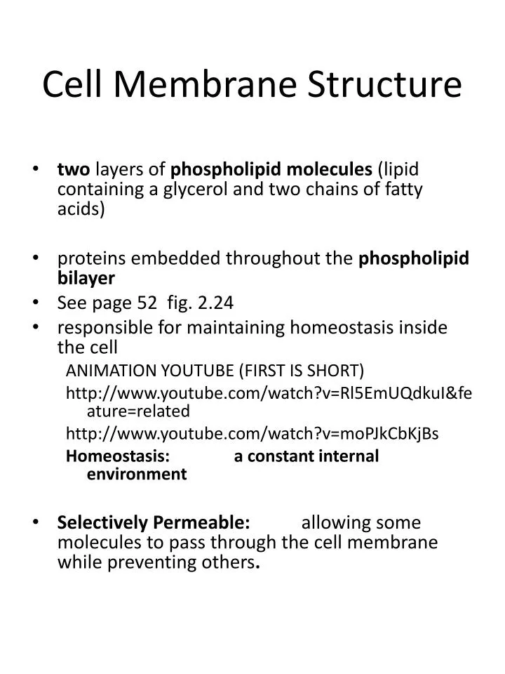cell membrane structure n.