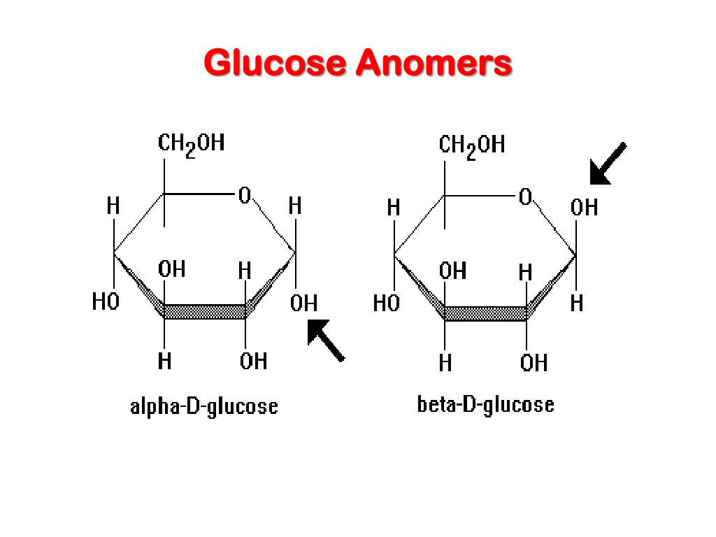 glucose anomers.