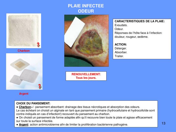 Liste Des Escarres Et Plaies Rencontre Avec Un Expert Escarres En Liste Des Escarres Et Plaies Rencontre Avec Un Expert Escarres En