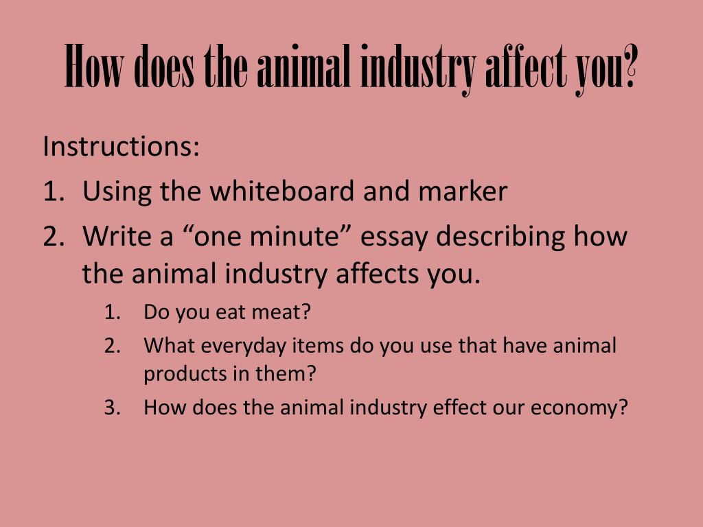 PPT How does the animal industry affect you? PowerPoint Presentation