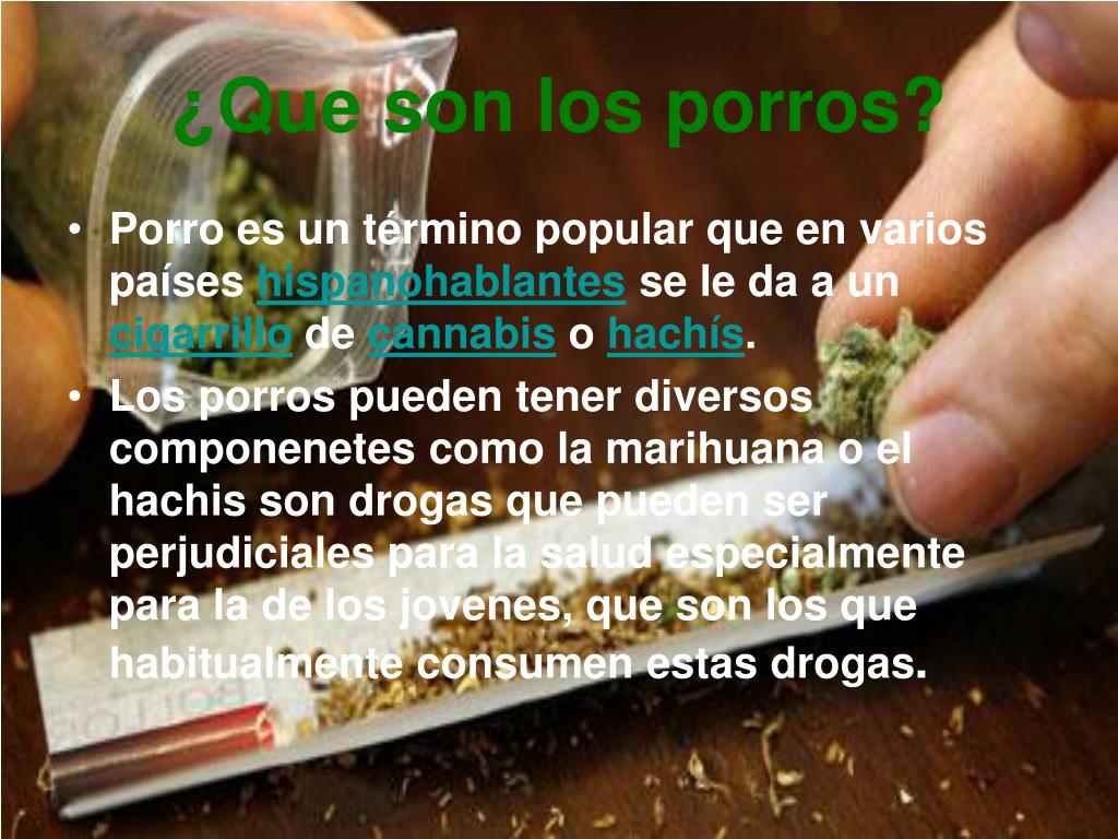 ¿Por qué existen los porros?