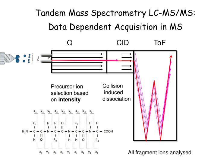 PPT - DAH3.1 Mass Spectrometry PowerPoint Presentation - ID:2691620