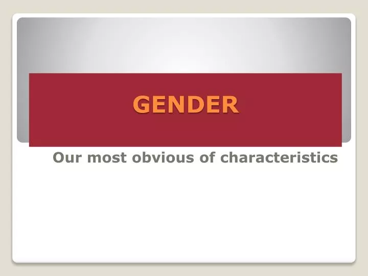 gender n.