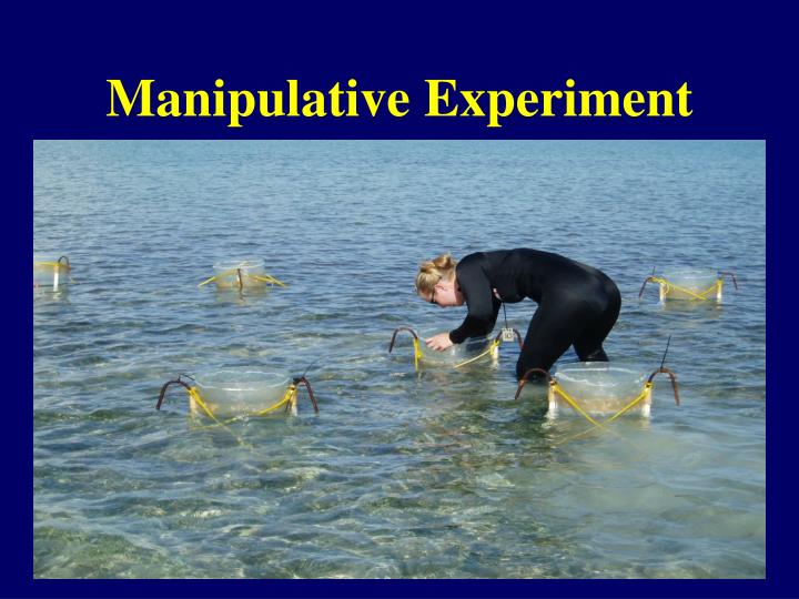 PPT Retain H o Refute hypothesis and model PowerPoint Presentation