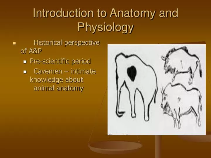 Ppt Introduction To Anatomy And Physiology Powerpoint Presentation