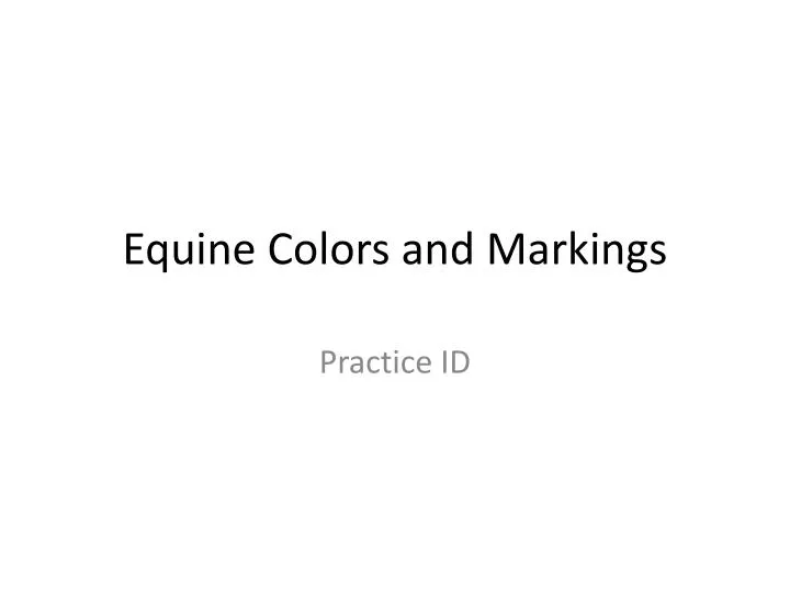 equine colors and markings n.