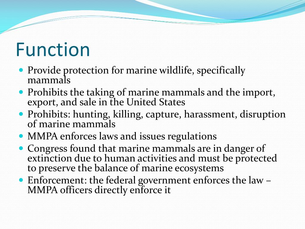 PPT - Marine Mammal Protection Act Of 1972 PowerPoint Presentation ...