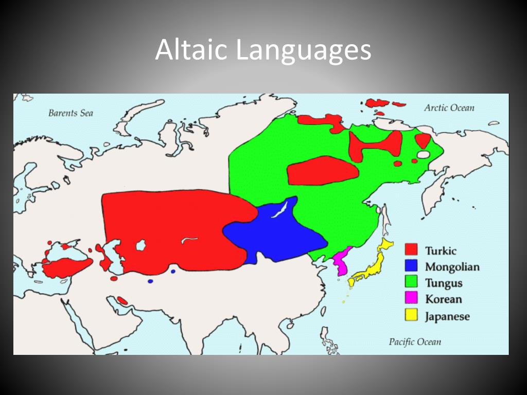 Тюркские языки схема - 94 фото