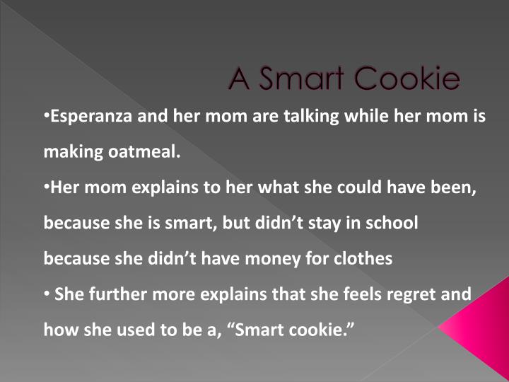 PPT The House On Mango Street By Sandra Cisneros PowerPoint