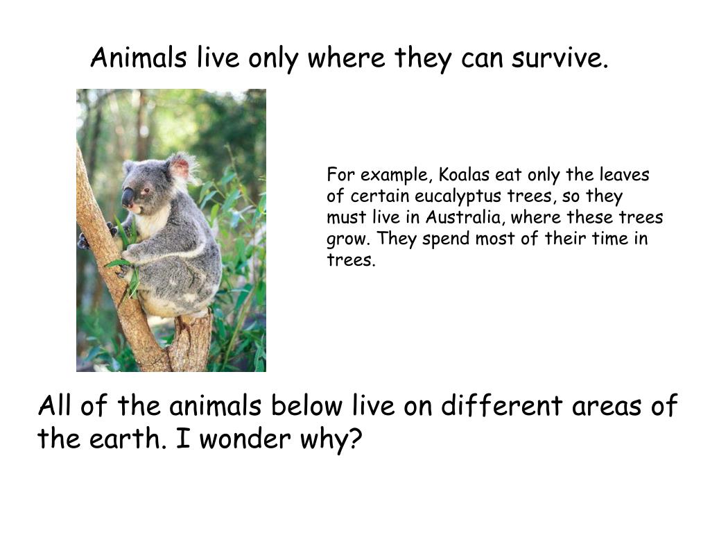 PPT - Where do animals live? PowerPoint Presentation, free download -  ID:2696373