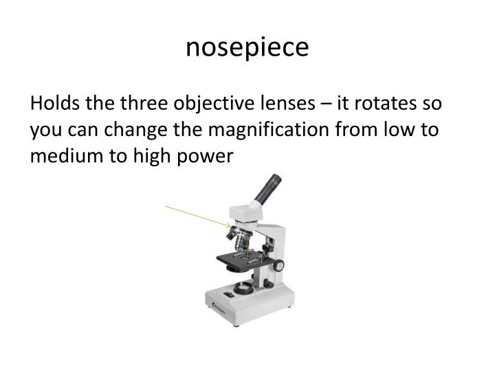 PPT - Parts of a Compound Light Microscope PowerPoint Presentation - ID