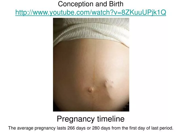 ppt conception and birth youtube watch v 8zkuuupjk1q powerpoint