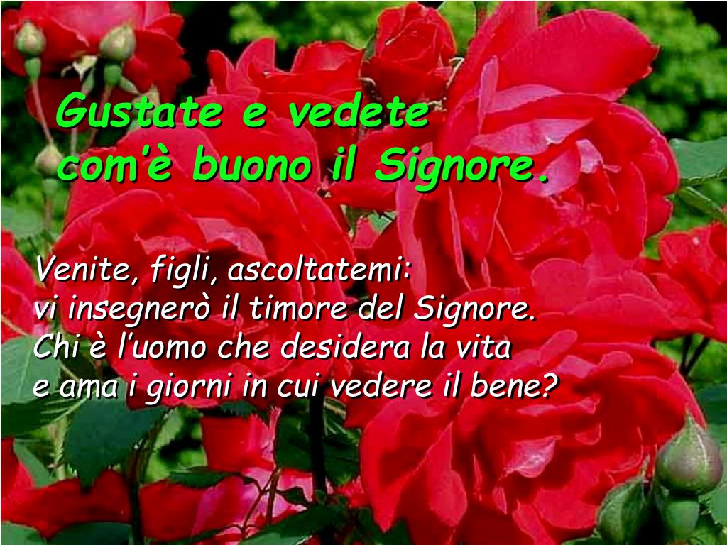 Gustate E Vedete Quanto è Buono Il Signore PPT - Anno B PowerPoint Presentation, free download - ID:2697875