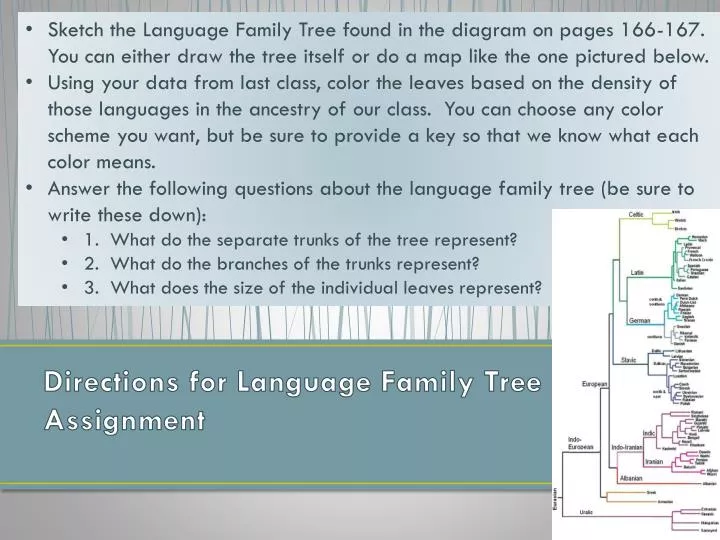 directions for language family tree assignment n.