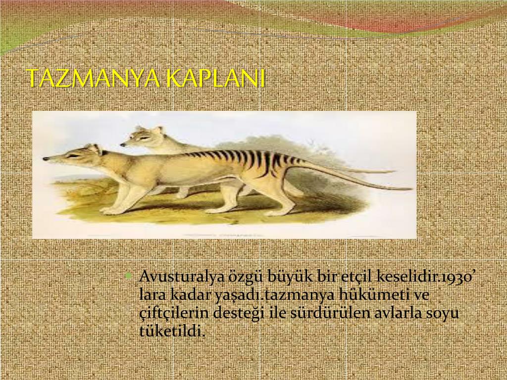 ppt-nesl-t-kenen-ve-t-kenmekte-olan-hayvanlar-powerpoint