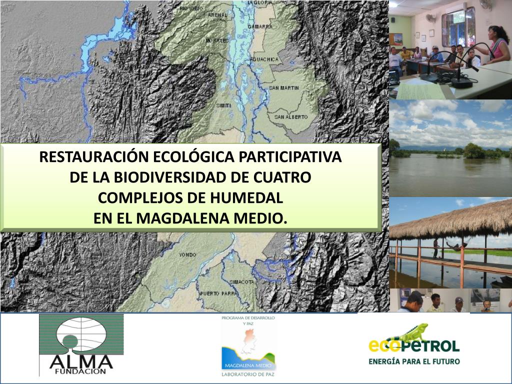 PPT - RESTAURACIÓN ECOLÓGICA PARTICIPATIVA DE LA BIODIVERSIDAD DE CUATRO  COMPLEJOS DE HUMEDAL PowerPoint Presentation - ID:2698833