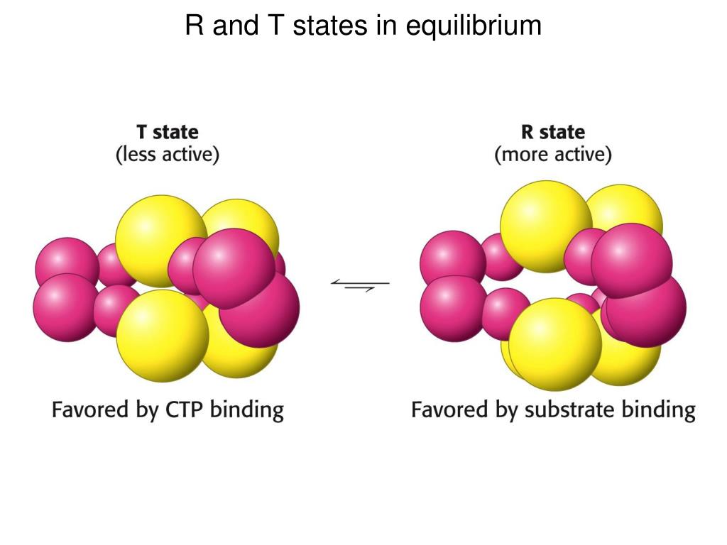 PPT - ENZYMES KINETICS, INHIBITION, REGULATION PowerPoint Presentation ...