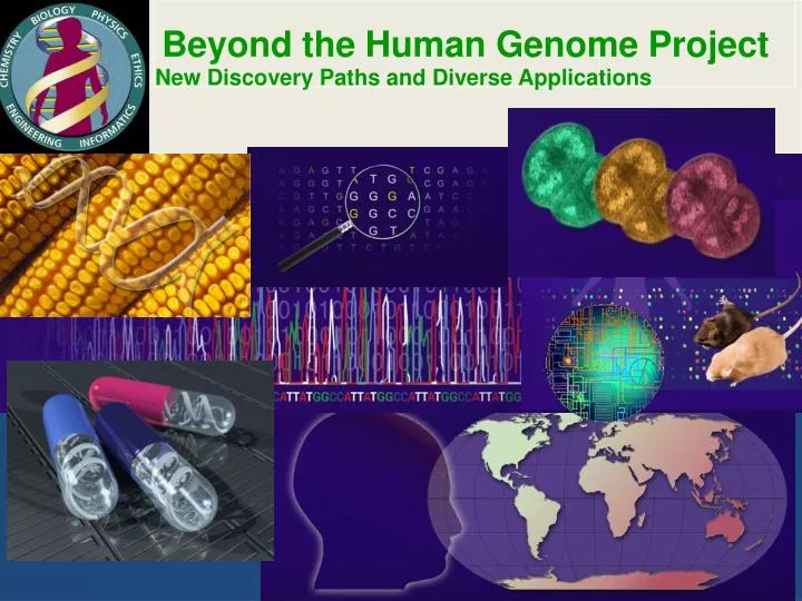 PPT Beyond the Human Genome Project PowerPoint Presentation, free